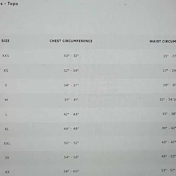 Roots Women'sbOrganic Relaxed Cooper T-Shirt Sz L - Picture 6 of 6